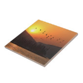 Vogelvliegen in de Sunset Sky boven het oostmeer Tegeltje (Zijkant)