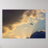 Vogelvliegen op zonsondergang poster (Voorkant)