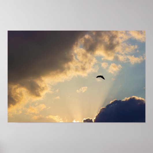 Vogelvliegen op zonsondergang poster (Voorkant)