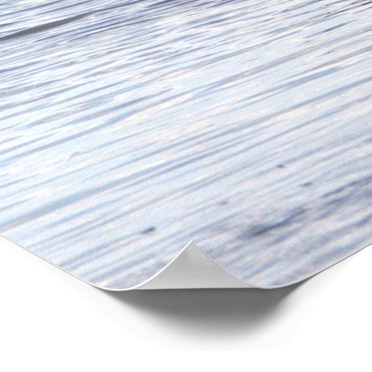 Vogelvliegend Poster (Hoek)