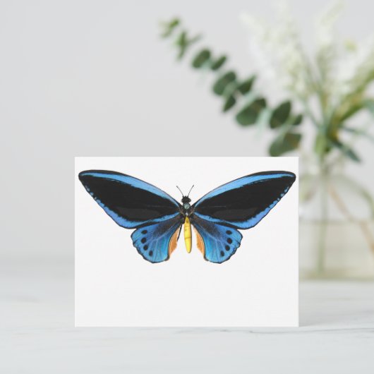 Vogelvlinder Briefkaart (Staand voorkant)