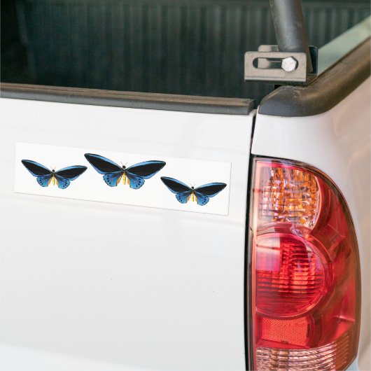 Vogelvlinder Bumpersticker (Op Truck)