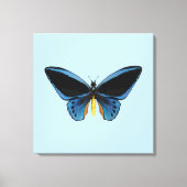 Vogelvlinder Canvas Afdruk (Voorkant)