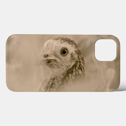 Vogelvlucht Case-Mate iPhone Case (Achterkant (horizontaal))
