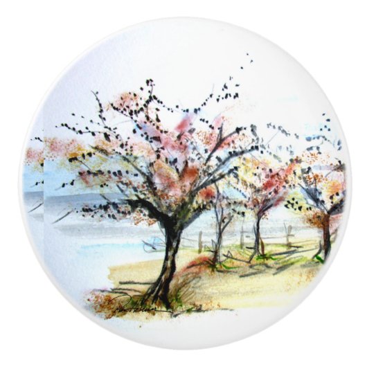 Vogelvlucht Keramische Knop (Voorkant)