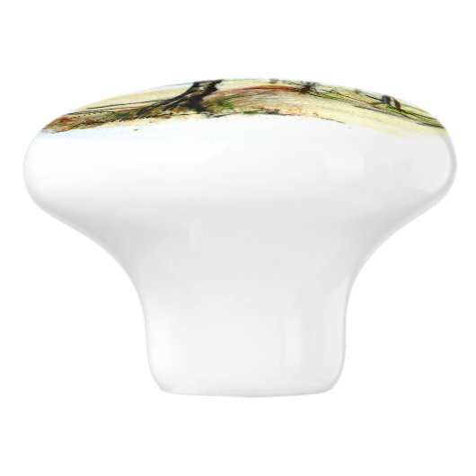 Vogelvlucht Keramische Knop (Zijkant)