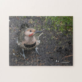 Vogelvlucht van de Noordelijke Flicker Specht Legpuzzel