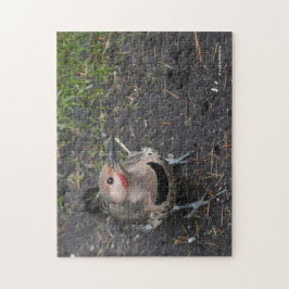 Vogelvlucht van de Noordelijke Flicker Specht Legpuzzel