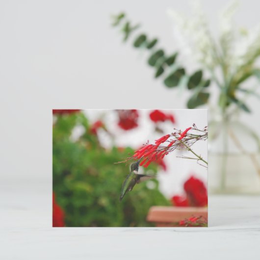 Vogelvoeding Briefkaart (Staand voorkant)