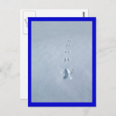 Vogelvoetafdrukken in sneeuw briefkaart (Voorkant / Achterkant)