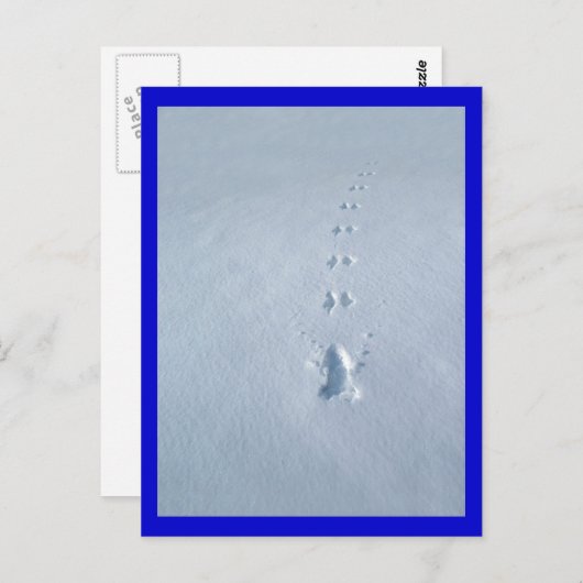 Vogelvoetafdrukken in sneeuw briefkaart (Voorkant / Achterkant)