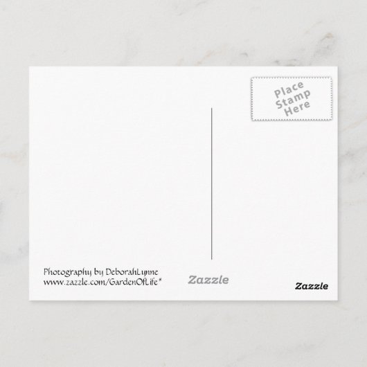 Vogelvoetafdrukken in sneeuw briefkaart (Achterkant)