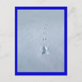 Vogelvoetafdrukken in sneeuw briefkaart (Voorkant)