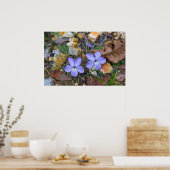 Vogelvoetboten stijgen door het Poster van Rocks (Keuken)