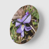 Vogelvoetenoverval met blauwdrukken ronde klok (Hoek)