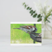 Vogelvogel in voeder briefkaart (Staand voorkant)