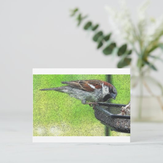Vogelvogel in voeder briefkaart (Staand voorkant)