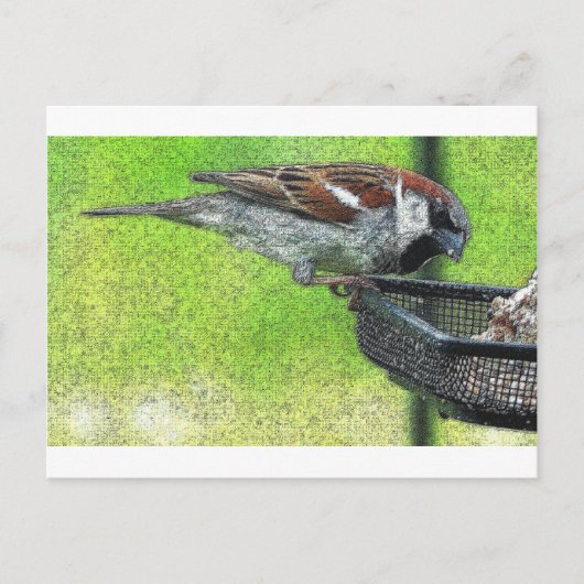 Vogelvogel in voeder briefkaart (Voorkant)