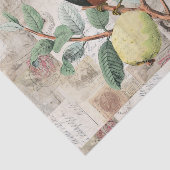 Vogelvogel op bijkantoor  Italiaans tijdschrift Ro Tissuepapier (Detail)