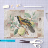 Vogelvogel op bijkantoor  Italiaans tijdschrift Ro Tissuepapier (Craft)