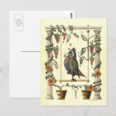 Vogelvogel op zinging briefkaart (Voorkant / Achterkant)