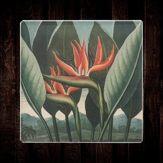 Vogelvogel van de botanische tempel van Flora Glazen Onderzetter