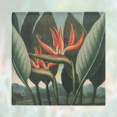 Vogelvogel van de botanische tempel van Flora Glazen Onderzetter