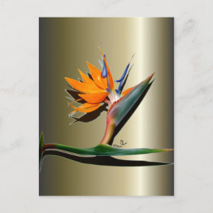 Vogelvogel van de Paradijsbloem Briefkaart