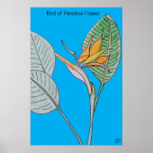 Vogelvogel van de Paradijsbloem Poster (Voorkant)