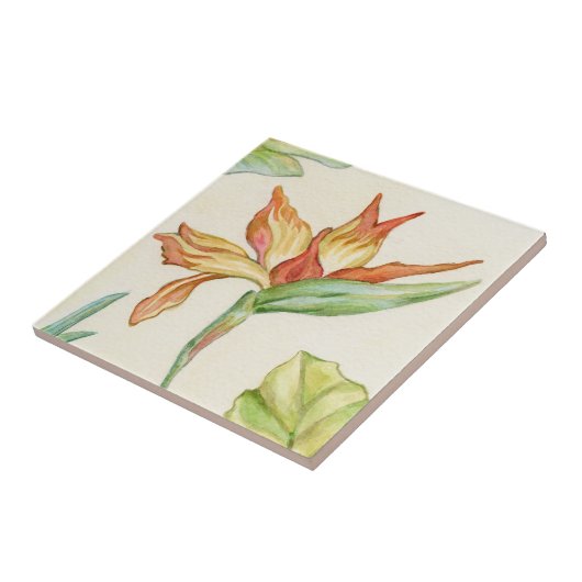 Vogelvogel van de Paradijsbloem Tegeltje (Zijkant)