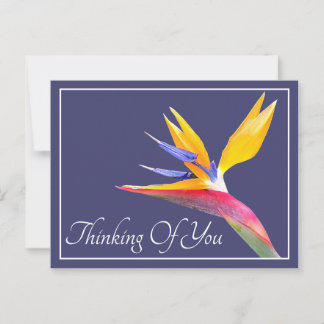 Vogelvogel van de paradijse marineachtergrond die briefkaart