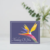 Vogelvogel van de paradijse marineachtergrond die  briefkaart (Staand voorkant)