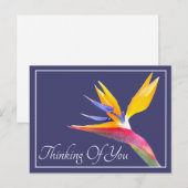 Vogelvogel van de paradijse marineachtergrond die  briefkaart (Voorkant / Achterkant)