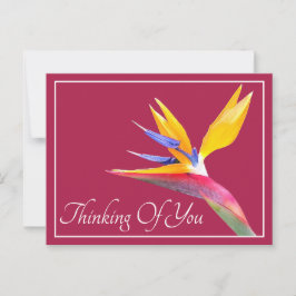 Vogelvogel van de paradijse roze achtergrond denke briefkaart