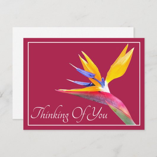 Vogelvogel van de paradijse roze achtergrond denke briefkaart (Voorkant / Achterkant)