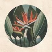 Vogelvogel van de  paradijse tempel van Flora Bota Grote Klok