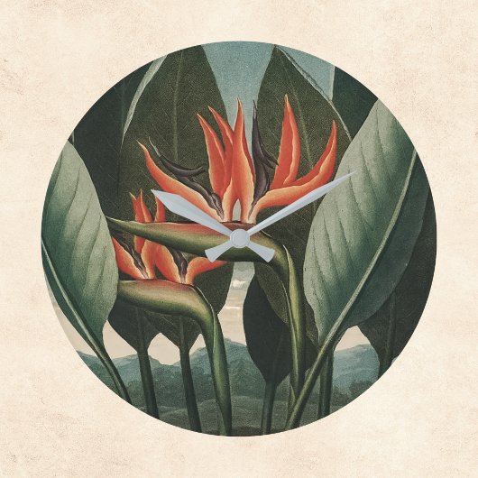 Vogelvogel van de paradijse tempel van Flora Bota Grote Klok