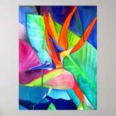 Vogelvogel van de Paradise Strelitzia waterverf fl Poster (Voorkant)
