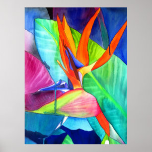 Vogelvogel van de Paradise Strelitzia waterverf fl Poster