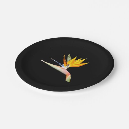 Vogelvogel van het Bord van paradijzen Plant (Gekanteld)