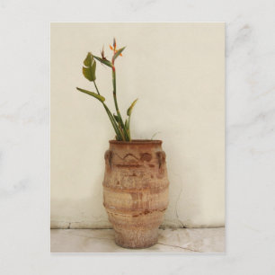 Vogelvogel van het Briefkaart van het Paradise-Pla