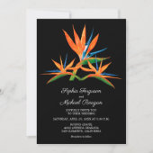 Vogelvogel van het paradijs dat iedereen in één ke (Voorkant)