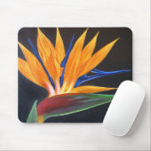 Vogelvogel van het paradijs - Tropische aanjager - Muismat (Met muis)