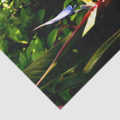 Vogelvogel van het paradijse bloemenpapier tissuepapier (Detail)