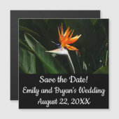 Vogelvogel van het Paradise Oranje Tropische Bloem (Voorkant / Achterkant)