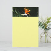 Vogelvogel van het Paradise Oranje Tropische Bloem Briefpapier (Staand voorkant)