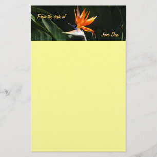 Vogelvogel van het Paradise Oranje Tropische Bloem Briefpapier