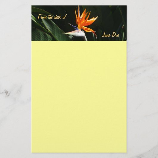 Vogelvogel van het Paradise Oranje Tropische Bloem Briefpapier (Voorkant)