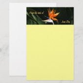 Vogelvogel van het Paradise Oranje Tropische Bloem Briefpapier (Voorkant / Achterkant)