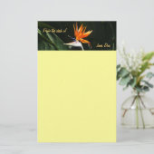 Vogelvogel van het Paradise Oranje Tropische Bloem Briefpapier (Staand voorkant)